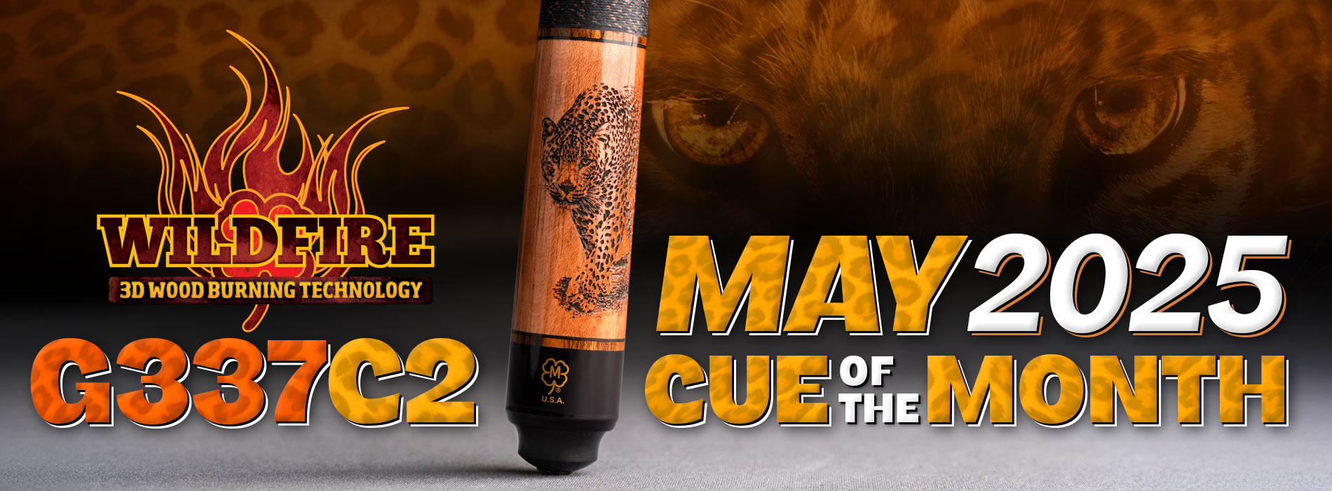 G337C2 April 2025 of the Month